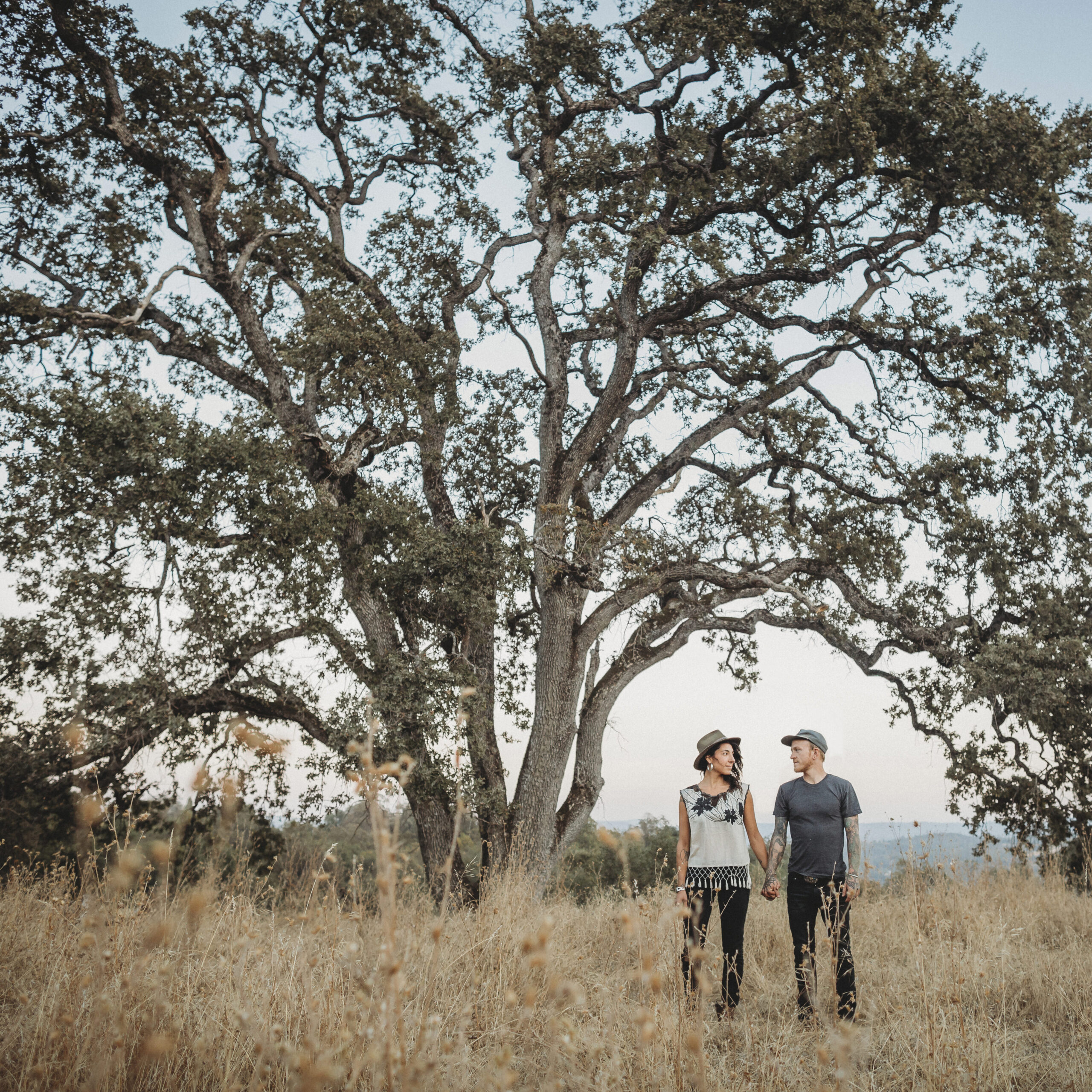 Couple holding hands on a golden field under a majestic tree for an couples session in northern california