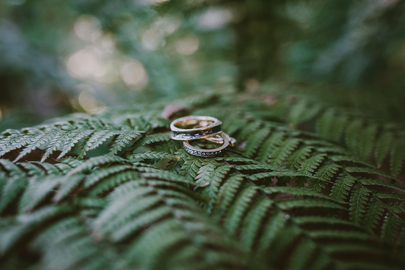 Bride and groom's rings