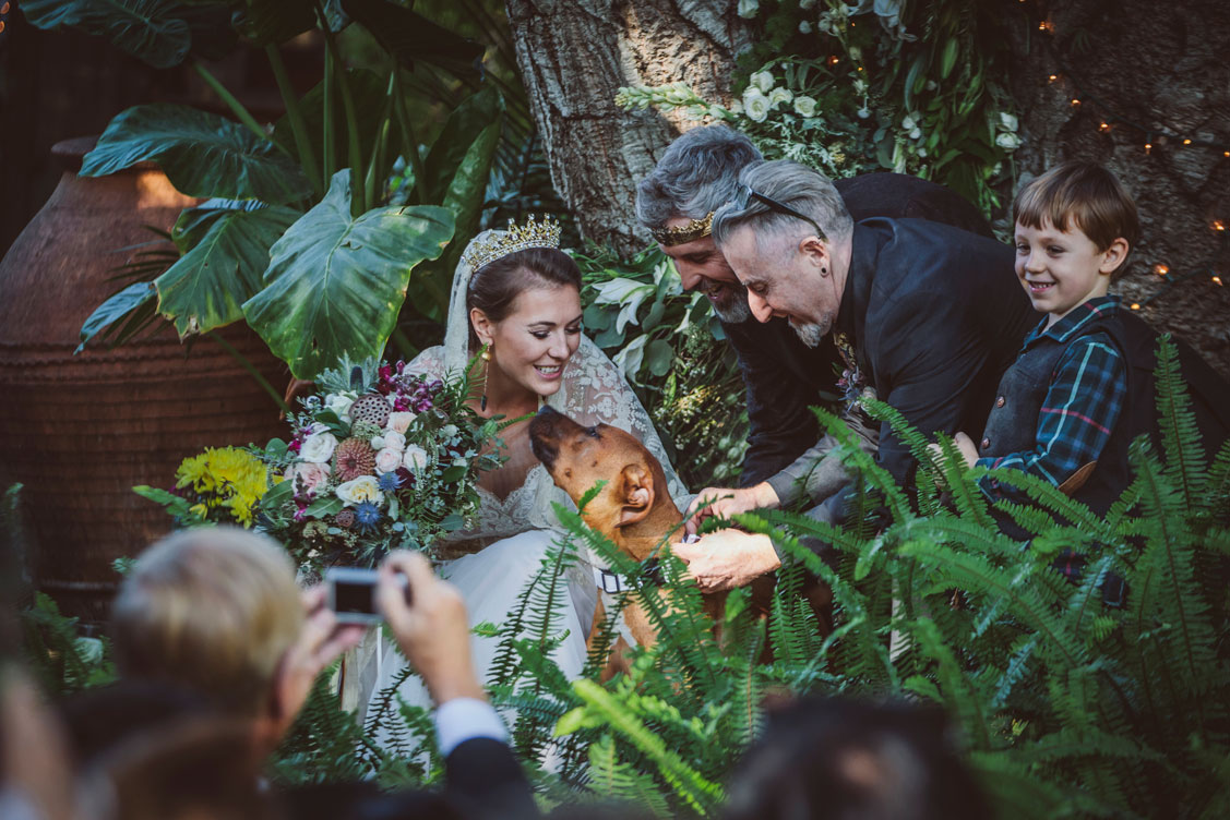 Sweet puppy as ring bearer at offbeat Game of Thrones wedding.