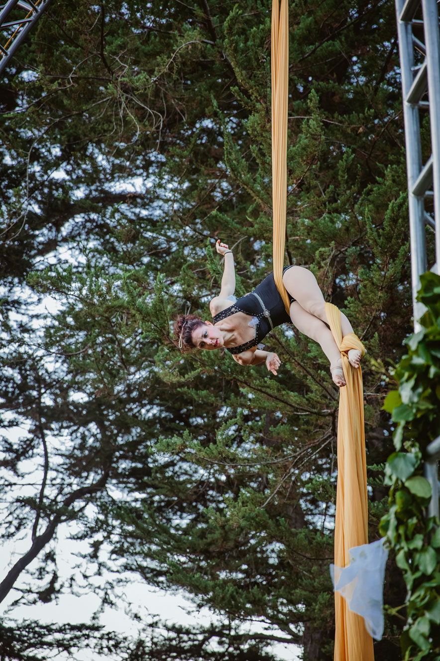 Aerialists perform at this off beat , elegant Holly Farms Wedding